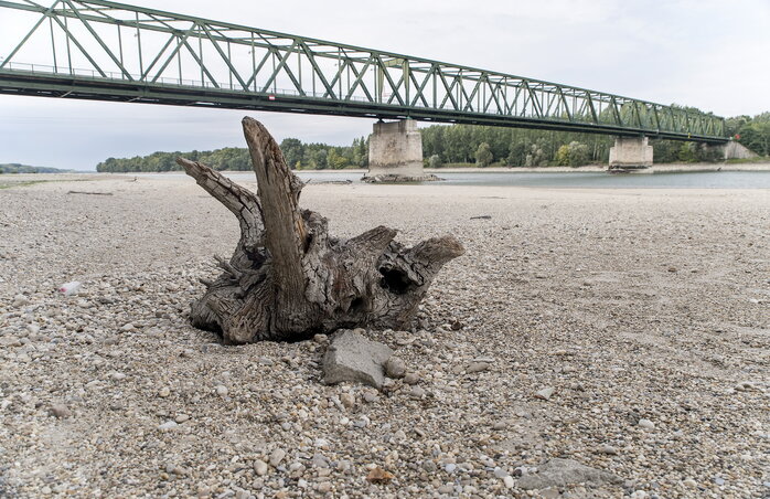 A Duna ártere alacsony vízállásnál Vámosszabadi határában (fotó: MTI)