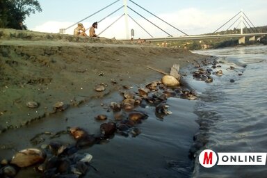 Fotó: Szeli Balázs