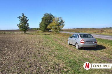 Eltűntek a szélvédő fasorok a Bogaras felé vezető út mellől (Gergely József felvétele)