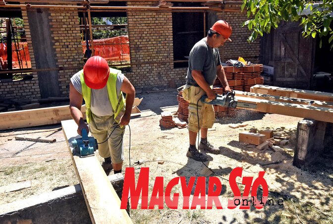 (Gergely Árpád illusztrációja)