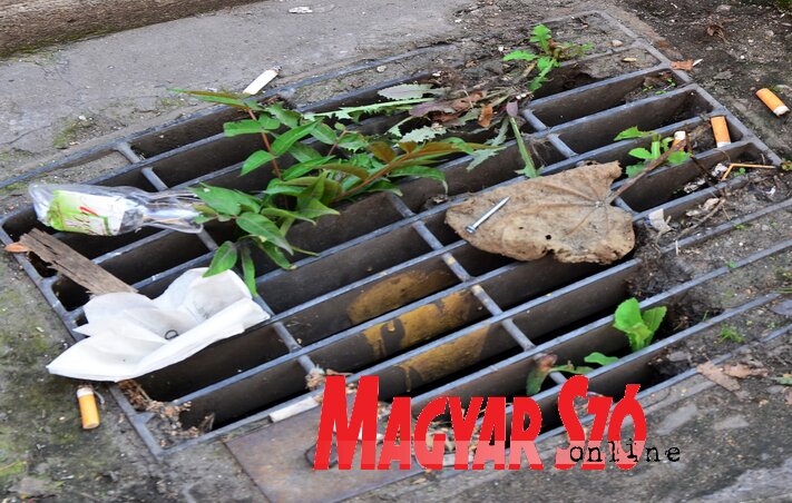 Fotó: Dávid Csilla