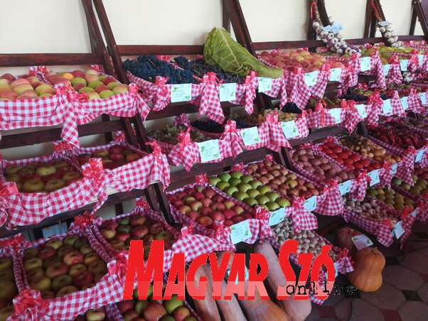 Gyümölcs- és zöldségkiállítás a palicsi szüreti napokon (Lukács Melinda felvétele)