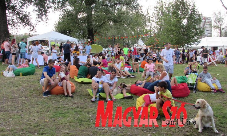 Fehér Ildikó felvétele