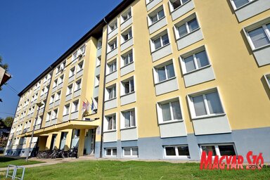 A Bosa Milićevićről elnevezett főépület a Közgazdasági Kar közelében található (Fotó: Gergely Árpád)