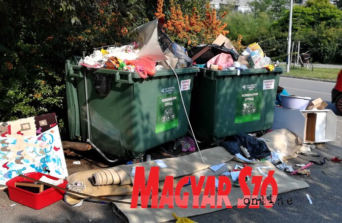 Szombaton nagytakarítási akciót szerveznek Újvidéken városszerte a takarítás világnapja alkalmából (Dávid Csilla felvétele)