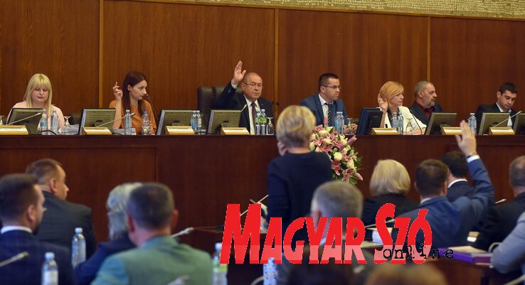 Nagy többséggel szavazták meg a korrupcióellenes tervet (Ótos András felvétele)