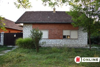 A csontvázakat egy veremben találták meg