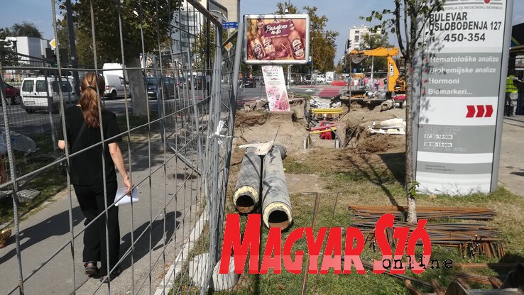 Fotó: Dávid Csilla