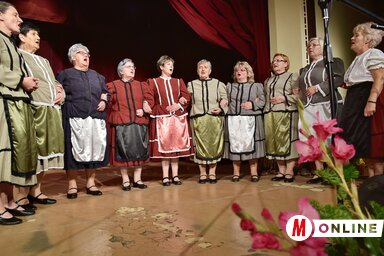 Szépen szólt a csókai Csalogány (Gergely József felvétele)