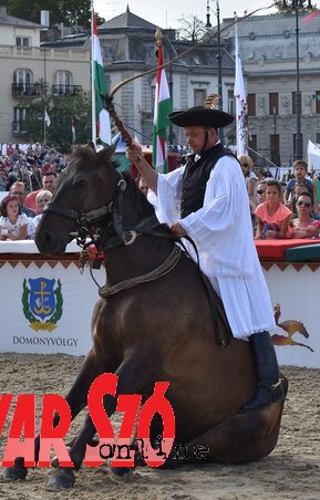 Egyszer egy német azt találta mondani, hogy a kutya ügyesebb, mint a ló, mert tud ülni. A magyar csikósok bebizonyították, hogy a ló is van ilyen okos (Fotó: Kiss Zoltán) Egyszer egy német azt találta mondani, hogy a kutya ügyesebb, mint a ló, mert tud ülni. A magyar csikósok bebizonyították, hogy a ló is van ilyen okos (Fotó: Kiss Zoltán)