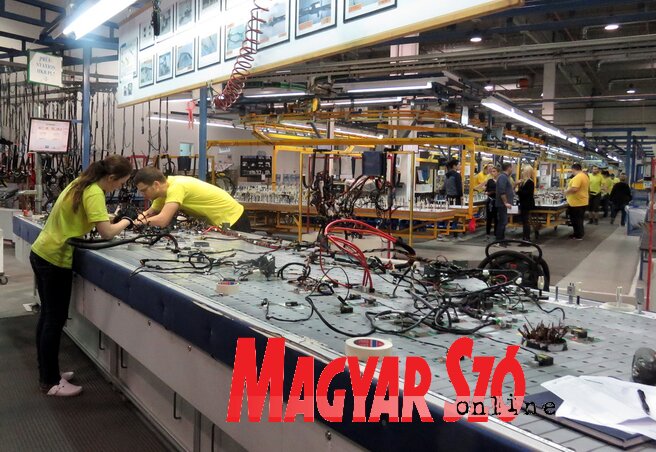 A Dräxlmaierben ma már több mint ötezren dolgoznak (Fotó: Kecskés István) A Dräxlmaierben ma már több mint ötezren dolgoznak (Fotó: Kecskés István)