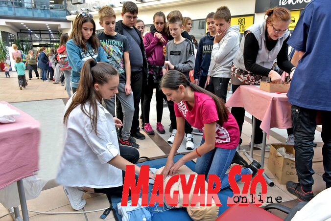 A szabályos újraélesztést is bemutatták a látogatóknak (Fotó: Gergely Árpád)