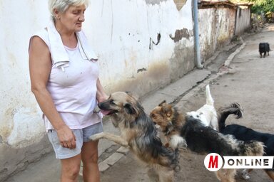 Dragoslava a védencei körében (Gergely József felvétele)
