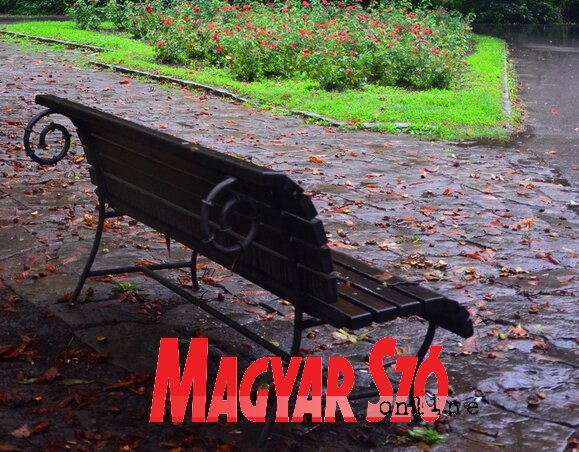Magányos pad (Dávid Csilla felvétele) Magányos pad (Dávid Csilla felvétele)
