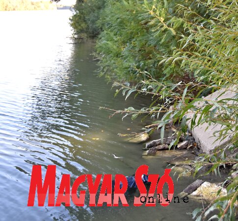 Az élettelen testre a part közelében, a vízben bukkantak rá