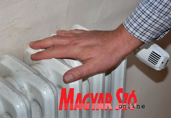 Dávid Csilla illusztrációja