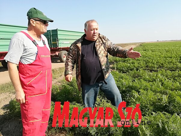 „Érdemes lenne megállapodnunk” (Fehér Rózsa felvétele) „Érdemes lenne megállapodnunk” (Fehér Rózsa felvétele)