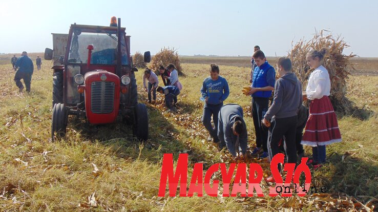 Munkában a feketetói Fiatalság Egyesület (Balázs Andrea felvétele)