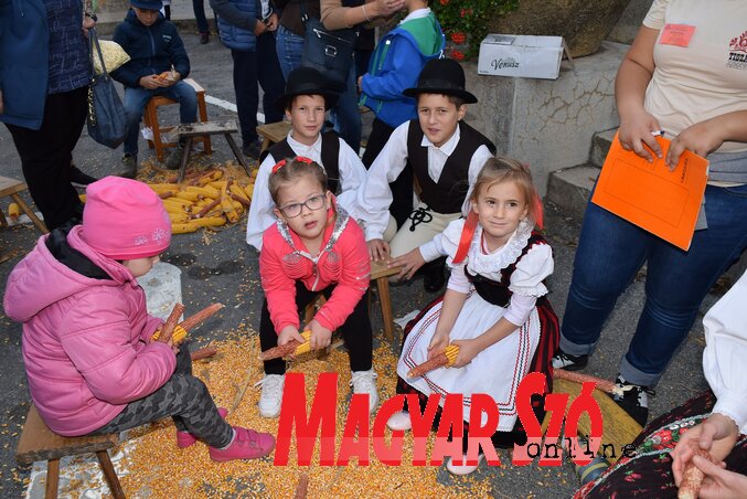 Így morzsoltak régen, na meg ma is! (Fotó: Puskás Károly) Így morzsoltak régen, na meg ma is! (Fotó: Puskás Károly)