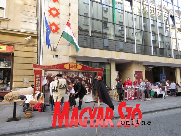 A szerb ajkú közönséget szeretnék megszólítani (Diósi Árpád felvétele)