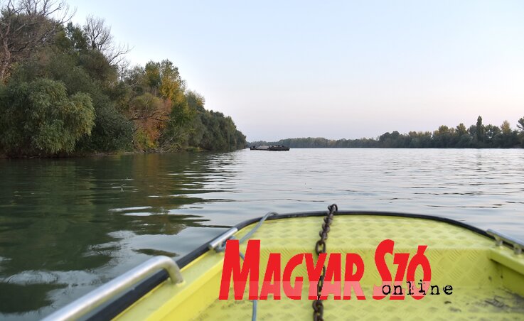 Gergely József felvétele