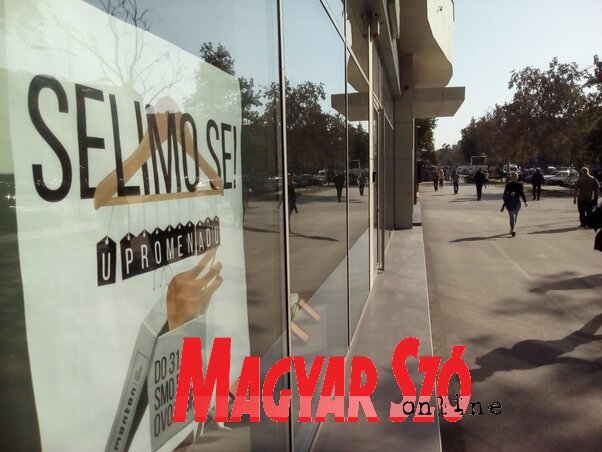 Fotó: Szeli Balázs