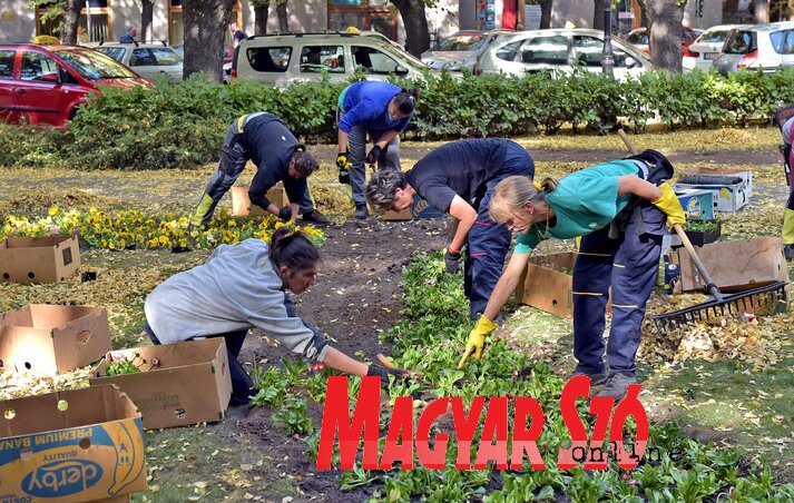 (Fotó: Gergely Árpád)