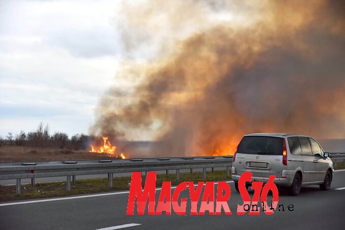 Az Újvidék–Szabadka között húzódó autóút mentén is rendre felcsapnak a lángok, és a gomolygó füst veszélyezteti a közlekedést (Fotó: Gergely József)