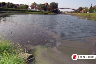 A Žitoproduktnál lévő egyes számú tó napjainkban (Fotó: Kecskés István)