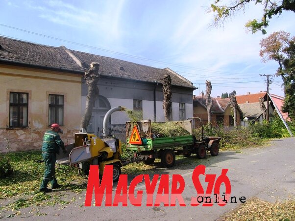 A téli frizura (Fotó: Fekete J. József)