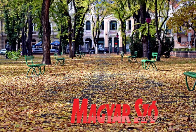 (Fotó: Gergely Árpád)