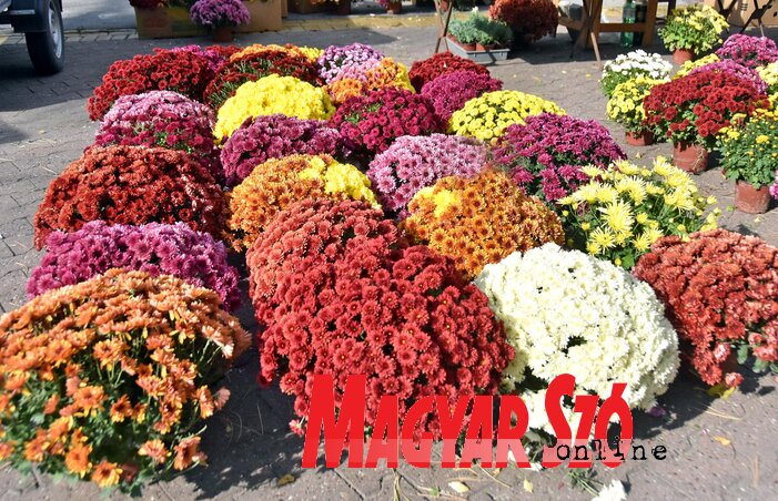 (Gergely Árpád archív felvétele)