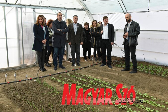 A hőmérsékleti értékek és a vízellátás is kontrollálható a telefonos applikáció vagy a manuális beállítások segítségével (Fotó: Ótos András)