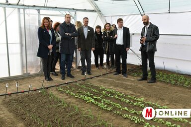 A hőmérsékleti értékek és a vízellátás is kontrollálható a telefonos applikáció vagy a manuális beállítások segítségével (Fotó: Ótos András)