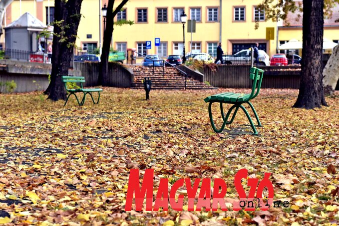 (Fotó: Gergely Árpád)