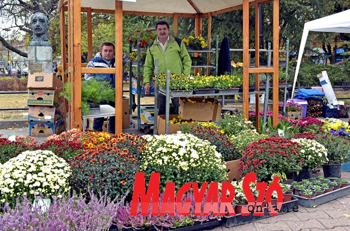 A Terhes család standja a virágvásáron (Fotó: Gergely Árpád)
