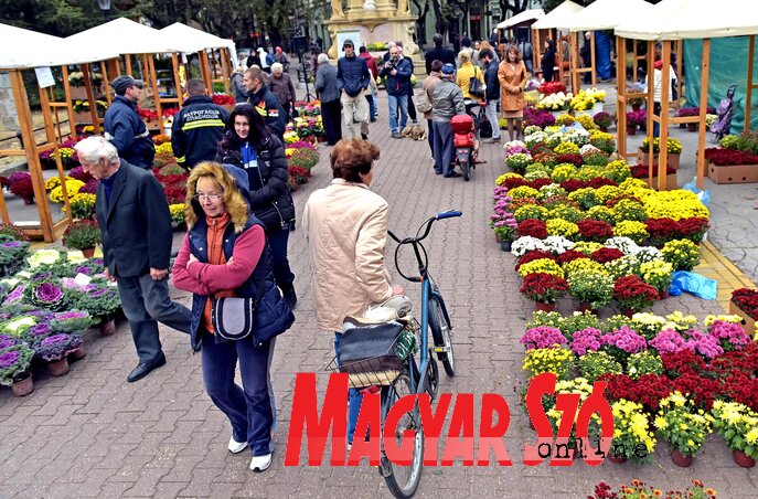 Már az első nap sok volt a látogató a virágvásáron (Fotó: Gergely Árpád)