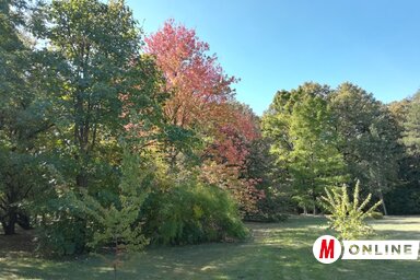 Sándor Zoltán illusztrációja