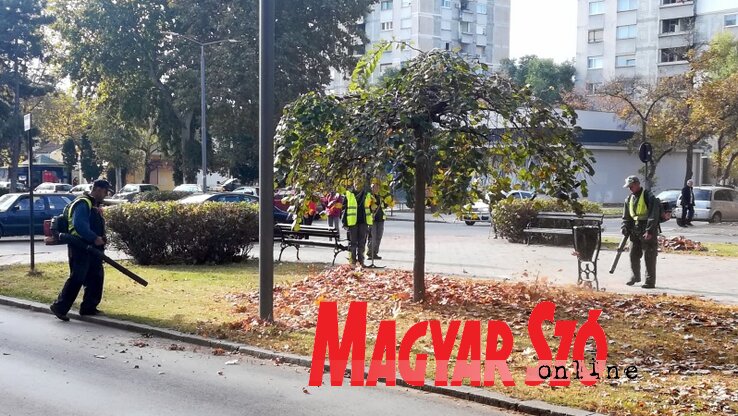 (Fotó: Benedek Miklós)