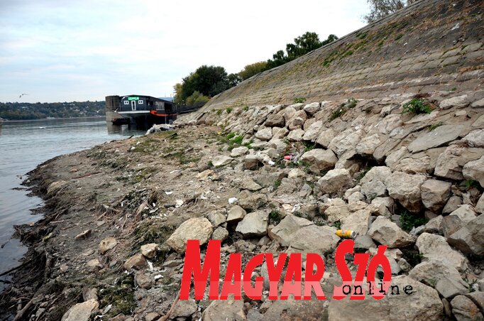 Fotó: Dávid Csilla