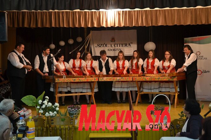 A szervezők azon dolgoznak, hogy újra népszerűvé tegyék a citerát és a citeramuzsikát (Kónya Róbert felvétele) A szervezők azon dolgoznak, hogy újra népszerűvé tegyék a citerát és a citeramuzsikát (Kónya Róbert felvétele)