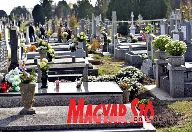 (Fotó: Gergely Árpád)