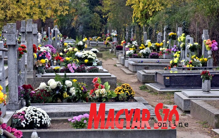 (Fotó: Gergely Árpád)