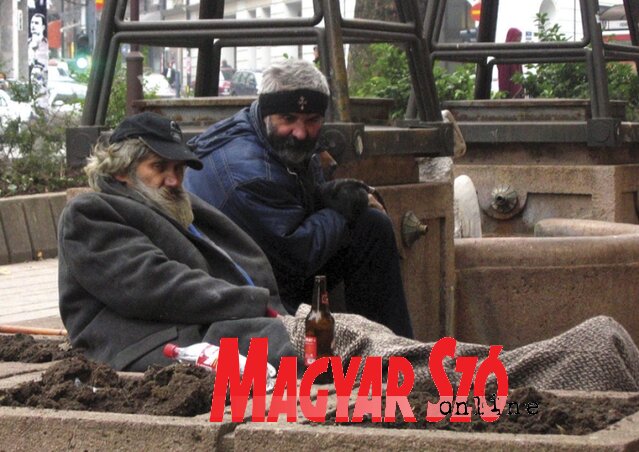 Belgrádban él a szerbiai hajléktalanok csaknem 40 százaléka