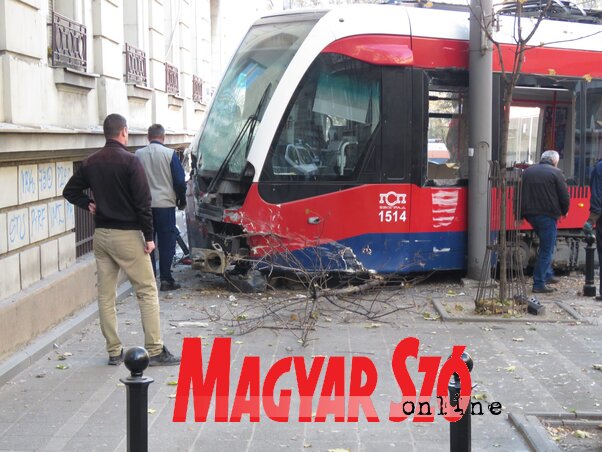 Miklós Hajnalka felvétele Miklós Hajnalka felvétele