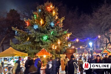 A város főterén tavaly felállított fenyő (Fotó: Gergely Árpád)