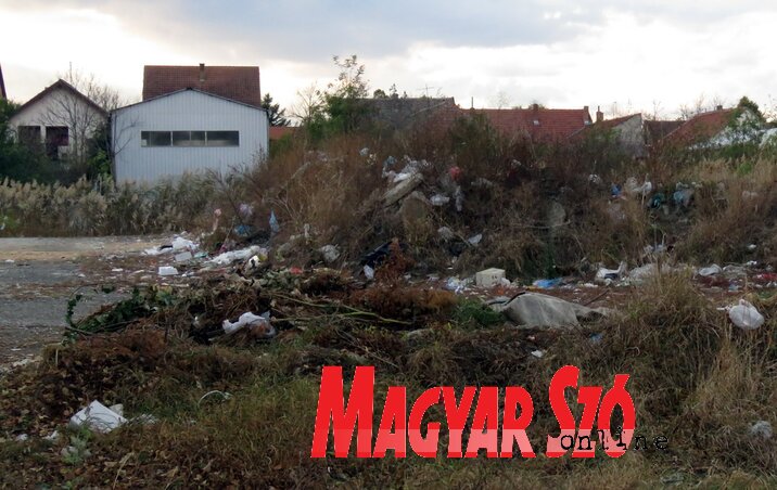 Felvételünk a nagybecskereki piac közelében készült (Fotó: Kecskés István) Felvételünk a nagybecskereki piac közelében készült (Fotó: Kecskés István)