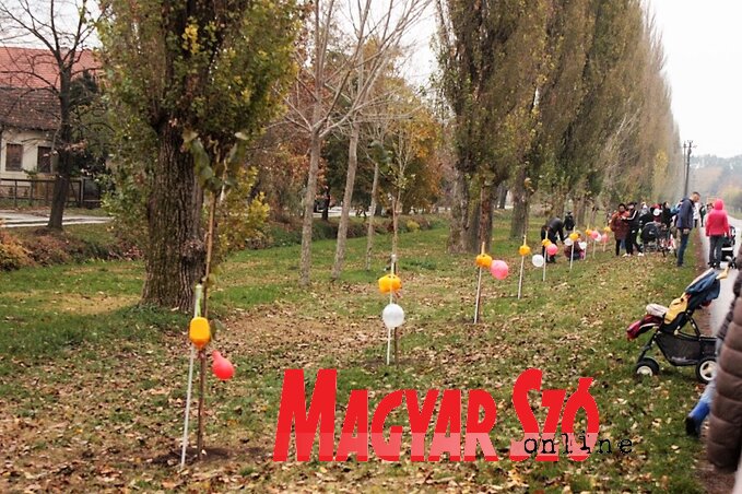 Készen állnak a kisfák és a locsolókannák, hogy „átvegyék” őket a gyerekek (Kazinczy Paszterkó Diana felvétele) Készen állnak a kisfák és a locsolókannák, hogy „átvegyék” őket a gyerekek (Kazinczy Paszterkó Diana felvétele)