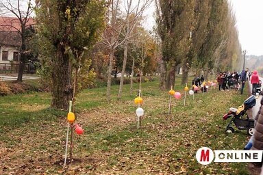 Készen állnak a kisfák és a locsolókannák, hogy „átvegyék” őket a gyerekek (Kazinczy Paszterkó Diana felvétele)