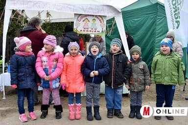 Fotó: Gergely József